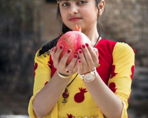 paveh pomegranate thanksgiving 091- 11 nov