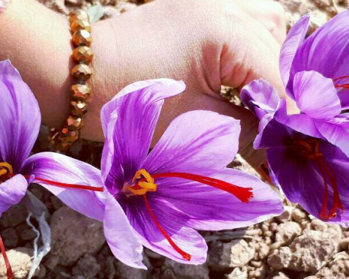 Iransaffrontourism