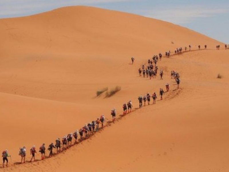 a local iran tour operator an iran travel agency