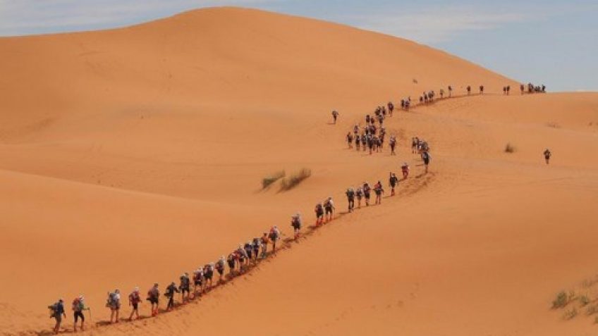 a local iran tour operator an iran travel agency