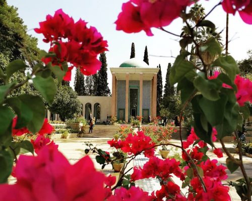 saadi-tomp-shiraz-7