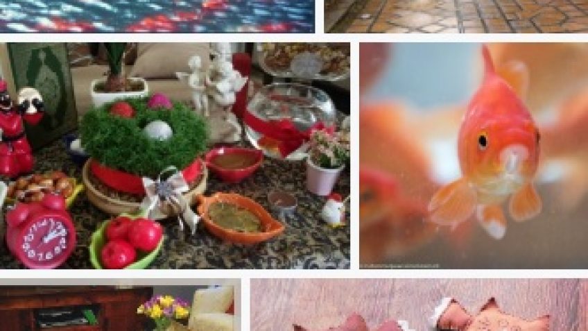 local iran tour operator an iran travel agency