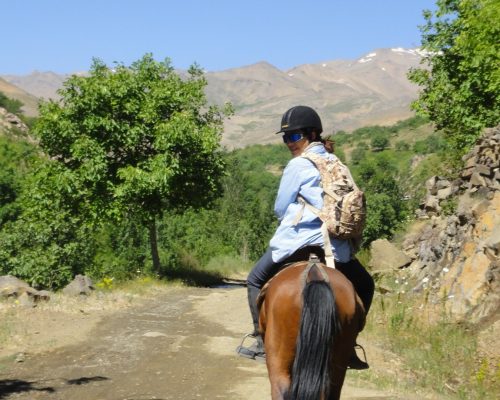 Horseriding-in-shiraz-sepidan-ardekan