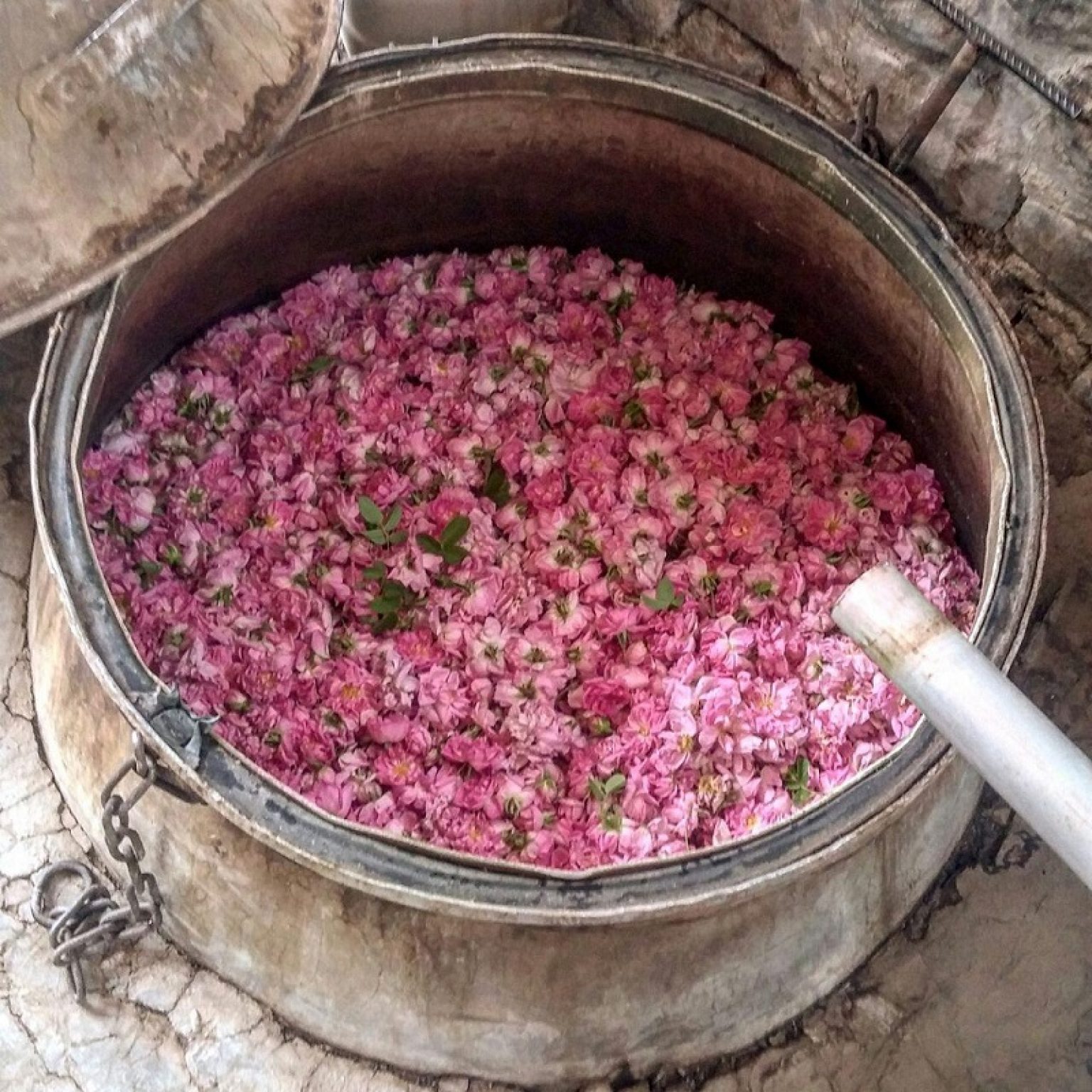 Iran Festivals - Friendlyiran