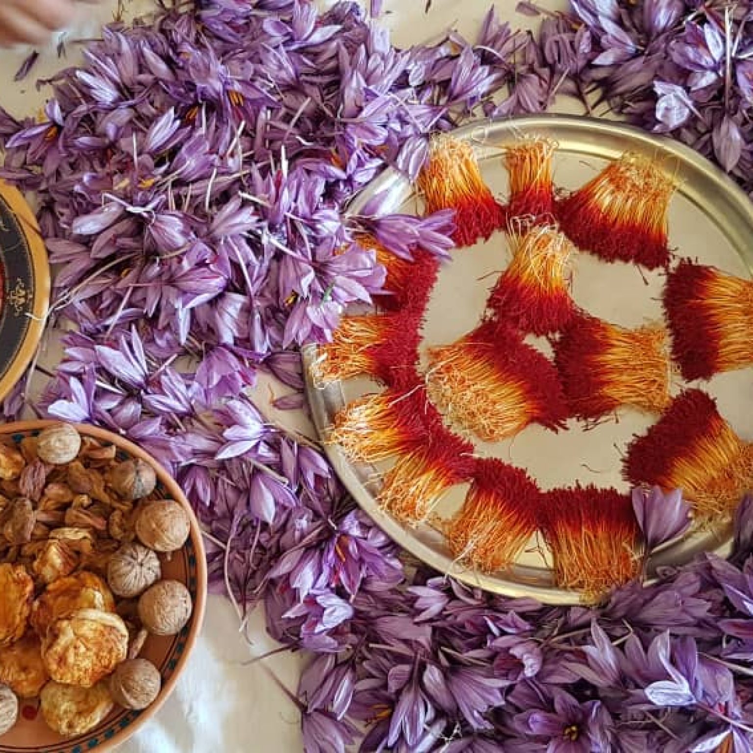 Iran Festivals - Friendlyiran