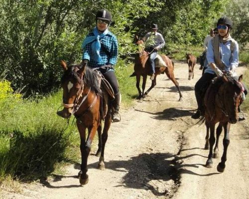 horse-riding-in-nature-Iran