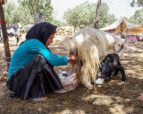 Nomad Tour of Lorestan and Khuzestan in western Iran