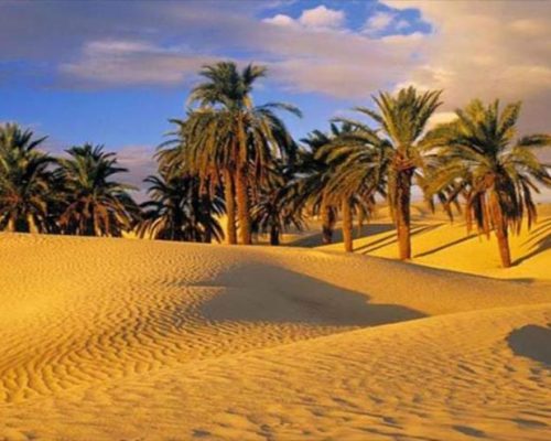 Iran Tabas desert tours