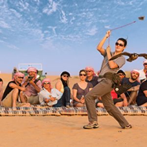 Desert Safari in Dubai with variuos experiences and dinner