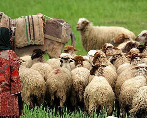 Iran-Nomadic-